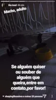 Pepeu