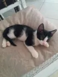 Lua e Ludovico