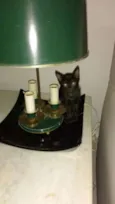 Lua e Ludovico