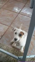 Penélope 