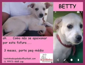 Cachorro raça  idade 2 a 6 meses nome Betty Filhote