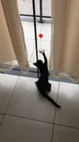 Niki