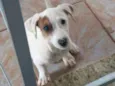 Penélope 