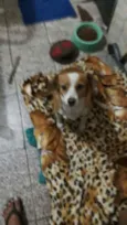 Menina