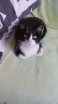 Tom