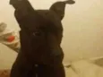 Kali