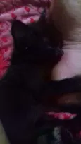 Sem