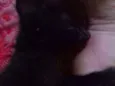 Sem
