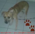 Hércules