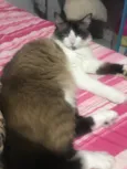 Estela 