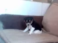 Nina