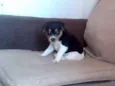 Nina