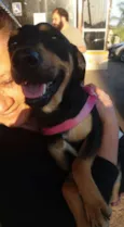 Nina