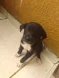 Lili