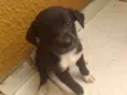 Lili