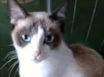 Tita