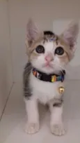 Penelope