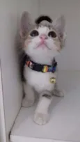 Penelope