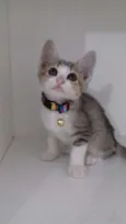 Penelope