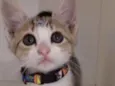 Penelope