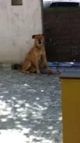 Bolinha