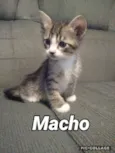 Rajadinho