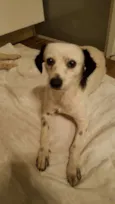 Fiona