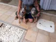 Frida e Khalo