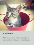 Kashmir