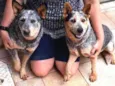 Frida e Khalo