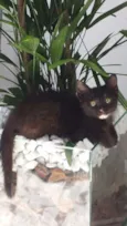 MIA