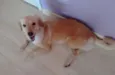 Mille