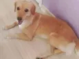 Mille
