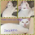 Zequinha e Malu