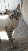 Hugo 