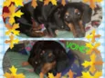 Voney