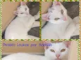 Zequinha e Malu