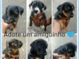 Sem nome