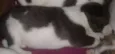 Não tenho nome ainda