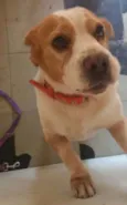 Não sabemos