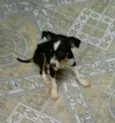 Sem nomes
