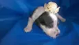 Sem nomes