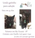 Menino1
