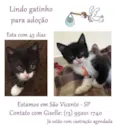 menino2