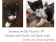 menino2