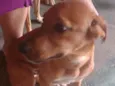 Bob
