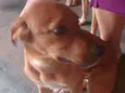 Bob