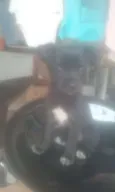 Mister Pickles