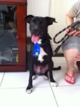 Negão