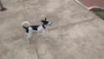 Maggie
